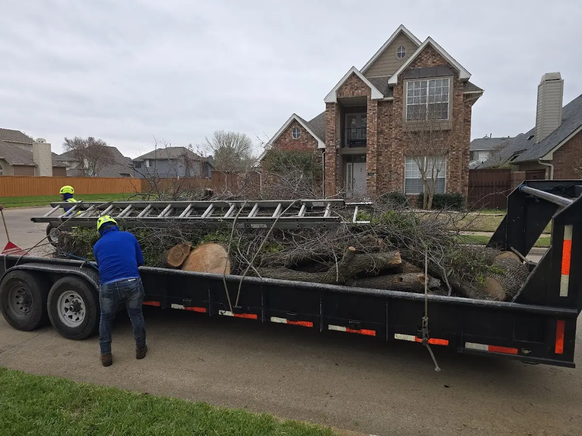 Expert Lot Clearing with proper safety equipment in Brookside